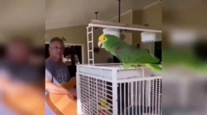 123213123123123123125,.;(;callback Попуги очень длинное название смотреть всем без регистрации и смс