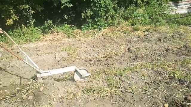 Как быстро выкопать картошку