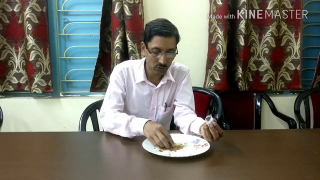 How to Collect Seeds of Gladiolus смотреть онлайн