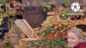 КОГДА и как убирать БЕГОНИИ с улицы в помещение, советы и опыт Ани