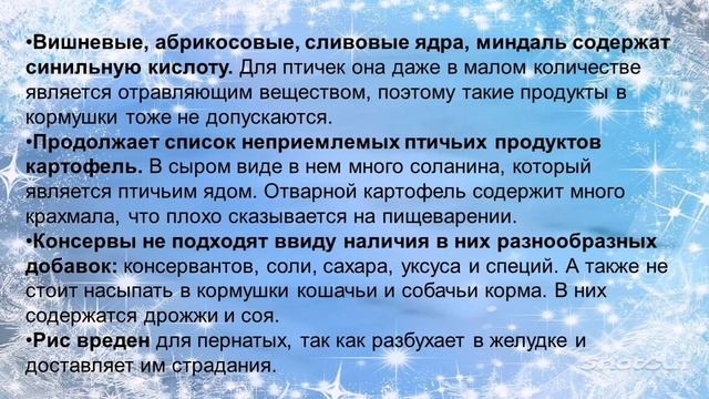 Обучающий видеоролик "Покормите птиц зимой"