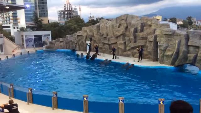 Батуми. Океанариум. 👌 смотреть онлайн