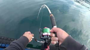 ПАЛТУС 2019. ОТКРЫТИЕ СЕЗОНА.HALIBUT. MAGADAN. SEA OF OHOTSK 4К.