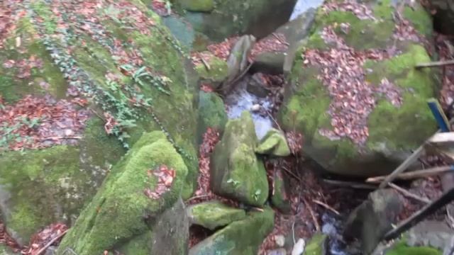 В поисках дольмена в Мамедовой щели (Лазаревское, Сочи) смотреть онлайн