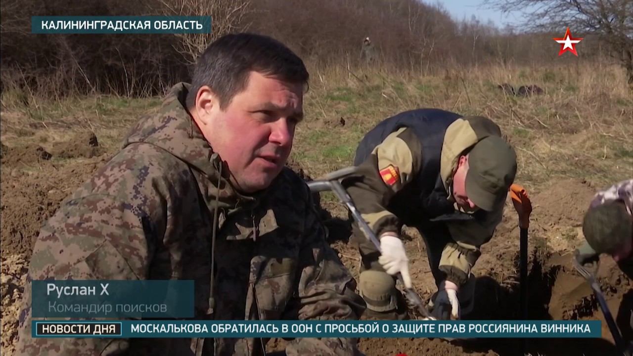В Калининградской области поисковики нашли фрагменты Ил-2 времен ВОВ