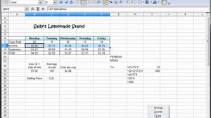 9 -  Libre Office Calc, Open Office Calc, Excel Tutorial --  2 rows of text in 1 cell -- Formatting