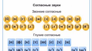 Парные по звонкости-глухости согласные звуки