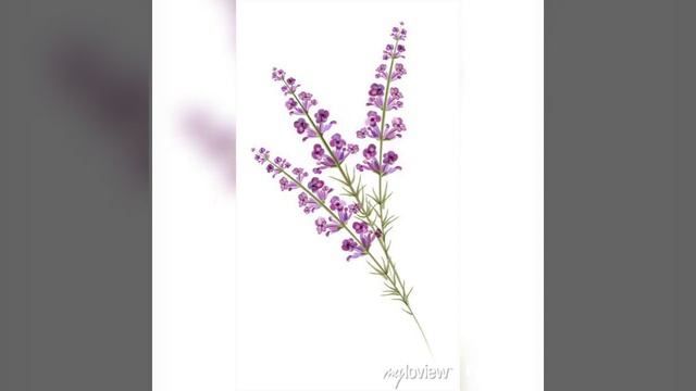 Моя струна.../ мои стихи.... смотреть онлайн