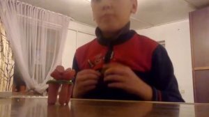 Как сделать красную книгу