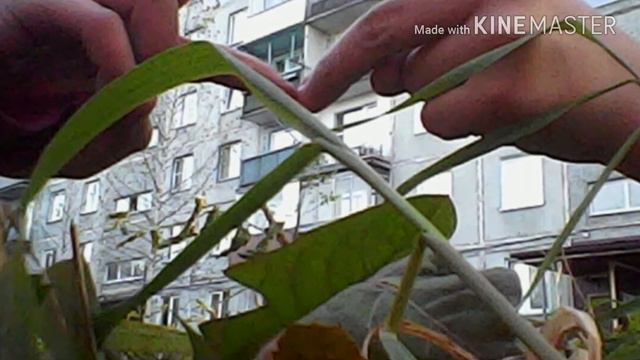 Мои фотки с подругойсестра!! смотреть онлайн