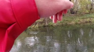 Черные воблеры тоже ловят? Strike Pro Inquisitor 110sp. Рыбалка на спиннинг.