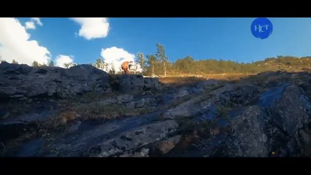 Рекламный блок и конец эфира (Настоящее Страшное Телевидение, 20.01.2022)