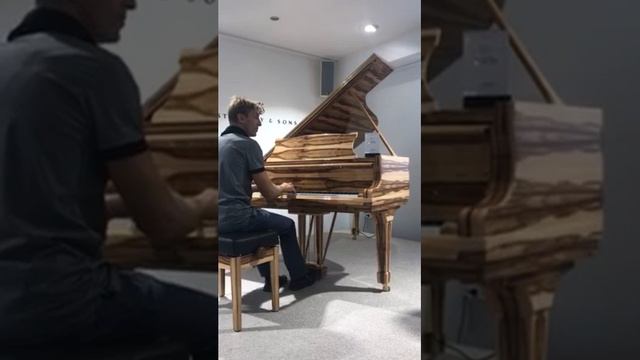 Ярослав Королев играет на рояле Steinway & Sons стоимостью 234 тысячи евро ))