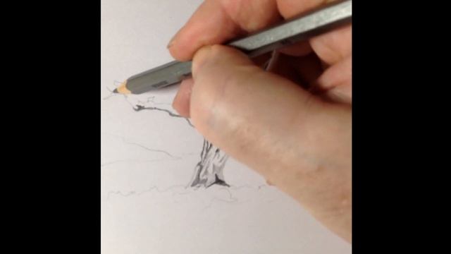 How To Draw A Dead Tree Step By Step смотреть онлайн
