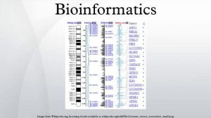 Bioinformatics