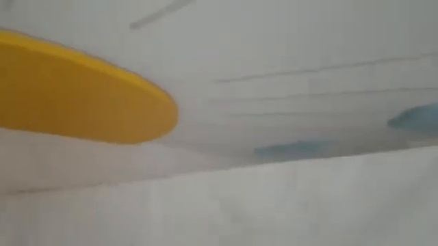 Двухуровневый натяжной потолок со световыми линиями смотреть онлайн