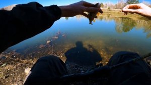 Мормышинг  FARIO MORM 0,5-2, Первая форель сезона