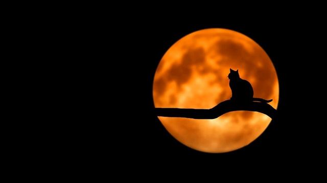 музыка для сна 1 смотреть онлайн