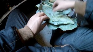 Разведение ЧЕРВЕЙ В Домашних Условиях. Заготовка ЧЕРВЕЙ на зиму. Как Сохранить Червя На Рыбалку.