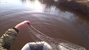 В ЭТОТ ДЕНЬ УДАЧА БЫЛА НА НАШЕЙ СТОРОНЕ! Рыбалка на Кастинговую сеть - накидку на сибирской реке