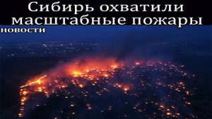 Сибирь охватили масштабные пожары, раньше времени.