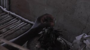 Benin - voodoo shrine Passotomé