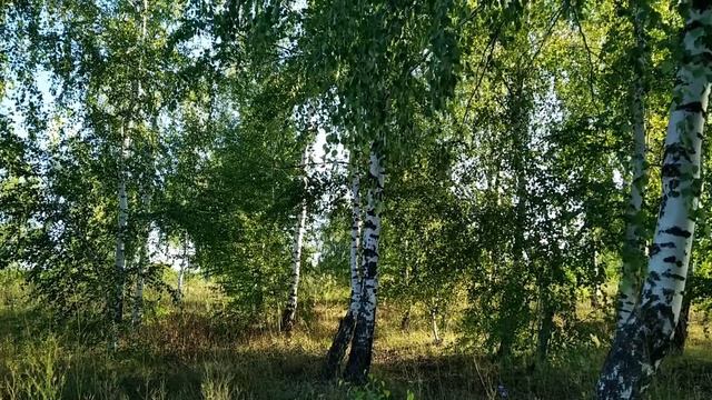 11 августа-КАЛИНОВ ДЕНЬ.ЧЕМ НЕЛЬЗЯ ЗАНИМАТЬСЯ ДОМА.НАРОДНЫЕ ПРИМЕТЫ