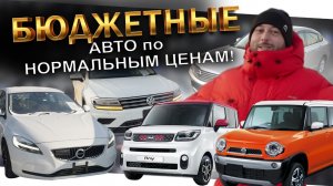 БЮДЖЕТНЫЕ АВТО: HUSTLER ❗️ KIA RAY ❗️ V40 ❗️ TIGUAN ❗️ GOLF VARIANT ❗️ EXPLORER ❗️