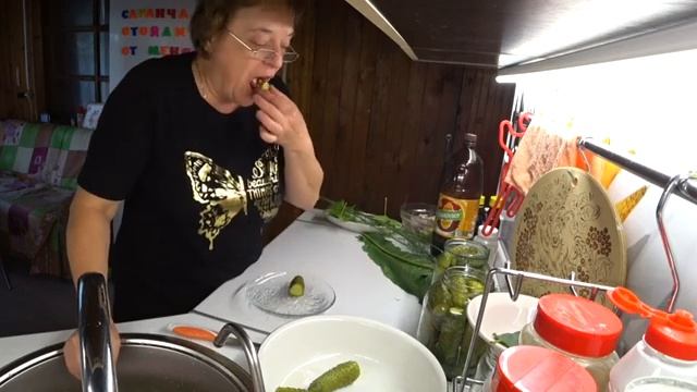 Совместник засолки огурцов ( часть 3 , заключительная) / Завязался арбуз 20 июля 2019 г. смотреть онлайн