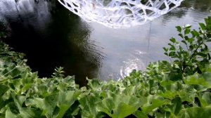 ТРОФЕЙНЫЙ ГОЛАВЛЬ НА КРЮЧКЕ КРЮЧКЕ. Smith camion magnum ssr. #Smith #голавль #спиннинг