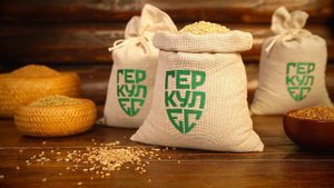 - В чём сила, Брат_ - Сила в _Геркулесе_.mp4