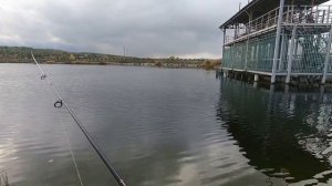 Окуни  на отводной поводок спасли рыбалку.