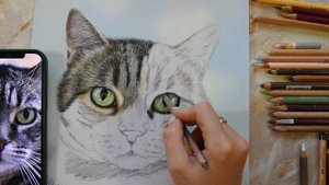 РИСУЕМ ГЛАЗ КОТА