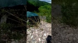 тагул открытие сезона