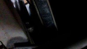 УАЗ патриот индикатор подушек безопасности, вторая поездка к дилерам по гарантии.