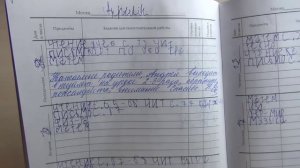 Записи в школьных дневниках за 1-3 кл .Интересные заметки