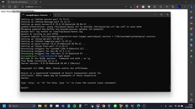 SPA Assignment 2023 смотреть онлайн