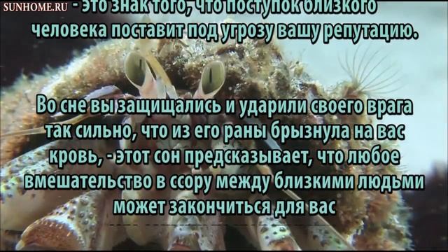 К чему снится Кровь сонник, толкование сна