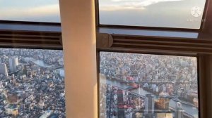 Как выглядит ТОКИО с высоты