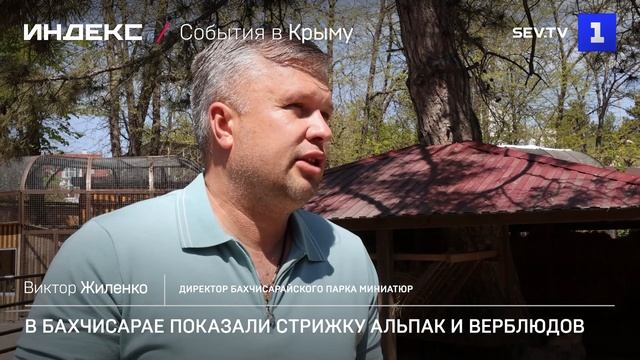 Стрижки всем парк культуры