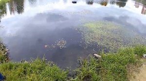 Первый запуск кораблика для прикормки Eagle Finder