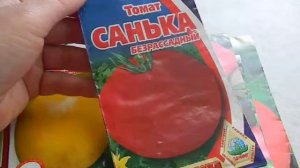 Выбор семян томатов 2017г. Ч 1