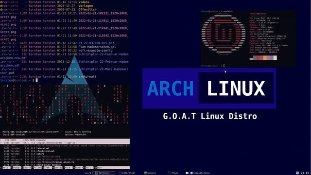 playing arround with pywal on herbstluft wm in linux mint