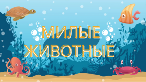 Милые видео про животных снятых на телефон