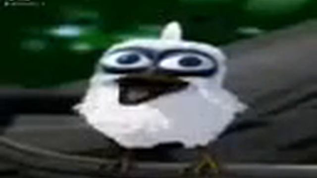 Белая птица орет мем из тик тока смотреть онлайн