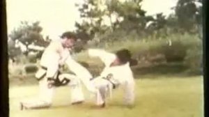 Joon M Jee Hapkido Cane Techniques