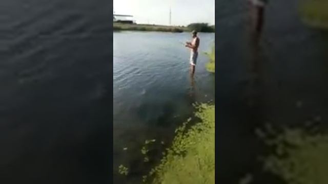 НОВОЧЕРКАССК РЕКА АКСАЙ! 🐟 смотреть онлайн