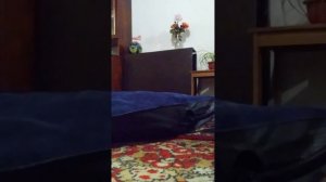как  накачать  надувной  матрас  для  тех  кто  не  знает!🏞