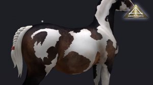 Pregnant Belly Demonstration 3 [Teegle Avatar]