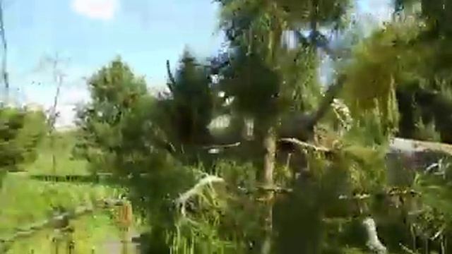 Jurassic Park The best of Dinosaurs Идем в Парк Динозавров смотреть онлайн